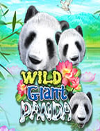 ทาง เข้า ufabet คอมพิวเตอร์ เพิ่มทักษะด้วยสูตรเด็ด